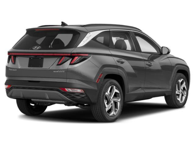Used 2024 Amazon Gray Hyundai Limited image 2