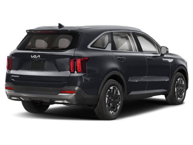 New 2026 Panthera Metal Kia S image 2
