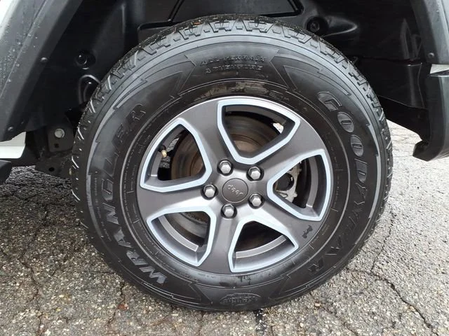Photo 11