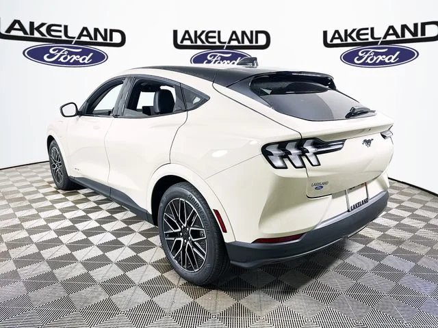 New 2026 Beige Ford Premium image 6
