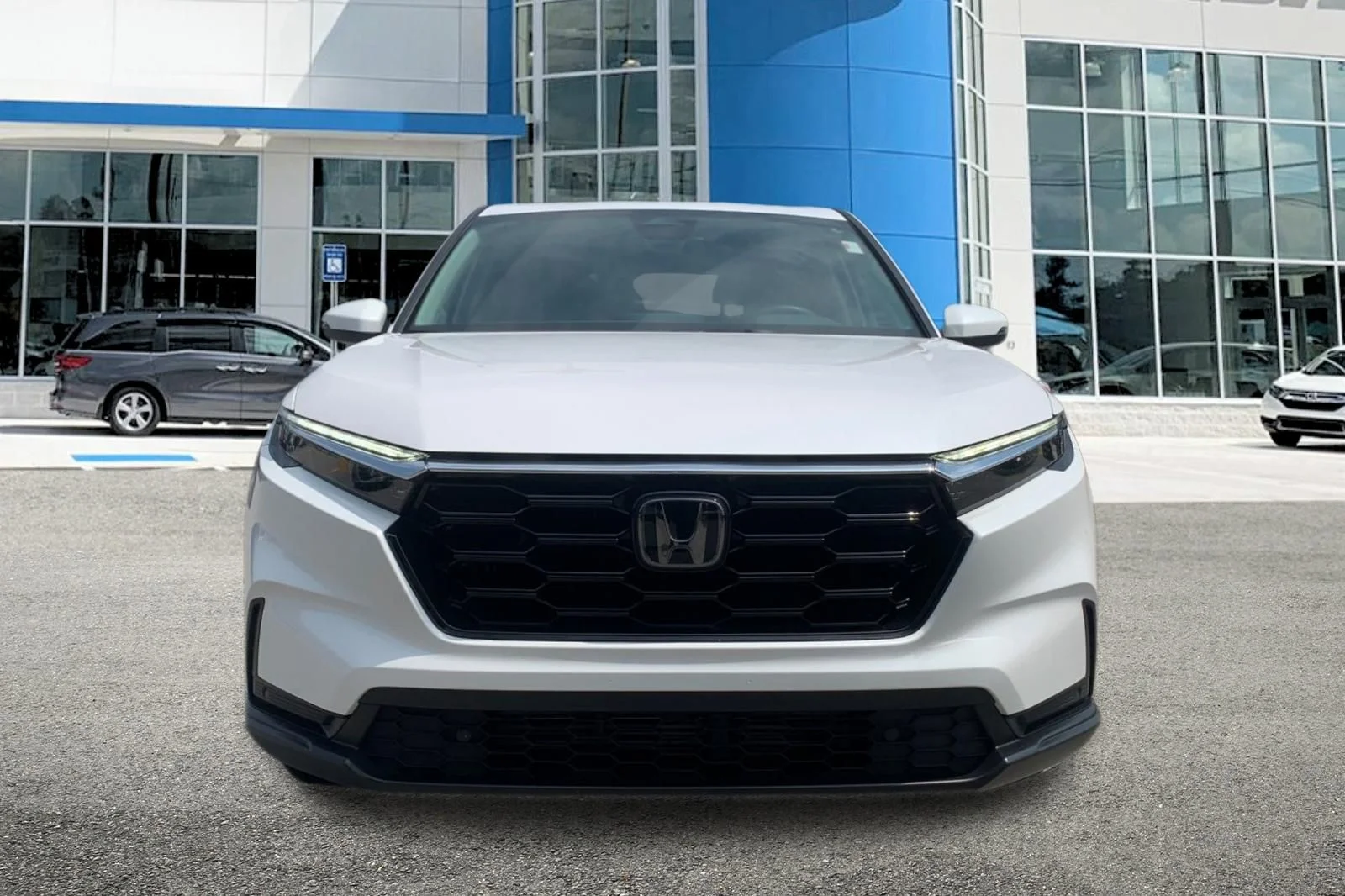 Used 2024 White Honda EX-L image 8