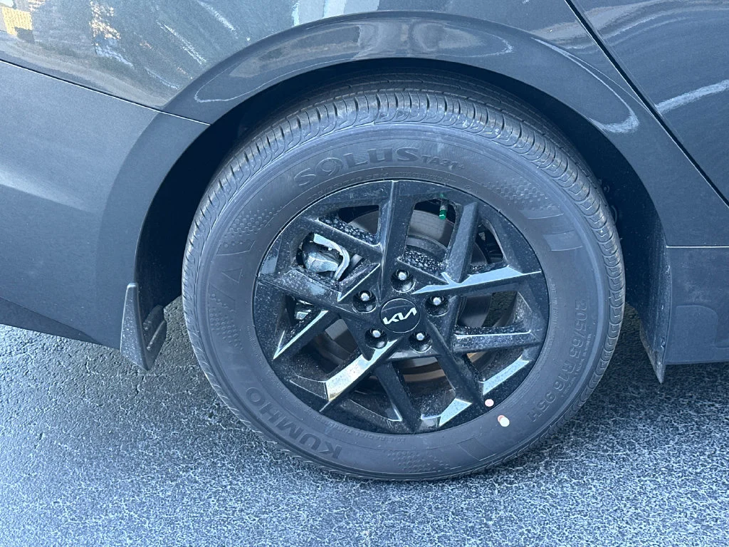 New 2026 Gray Kia LXS image 17