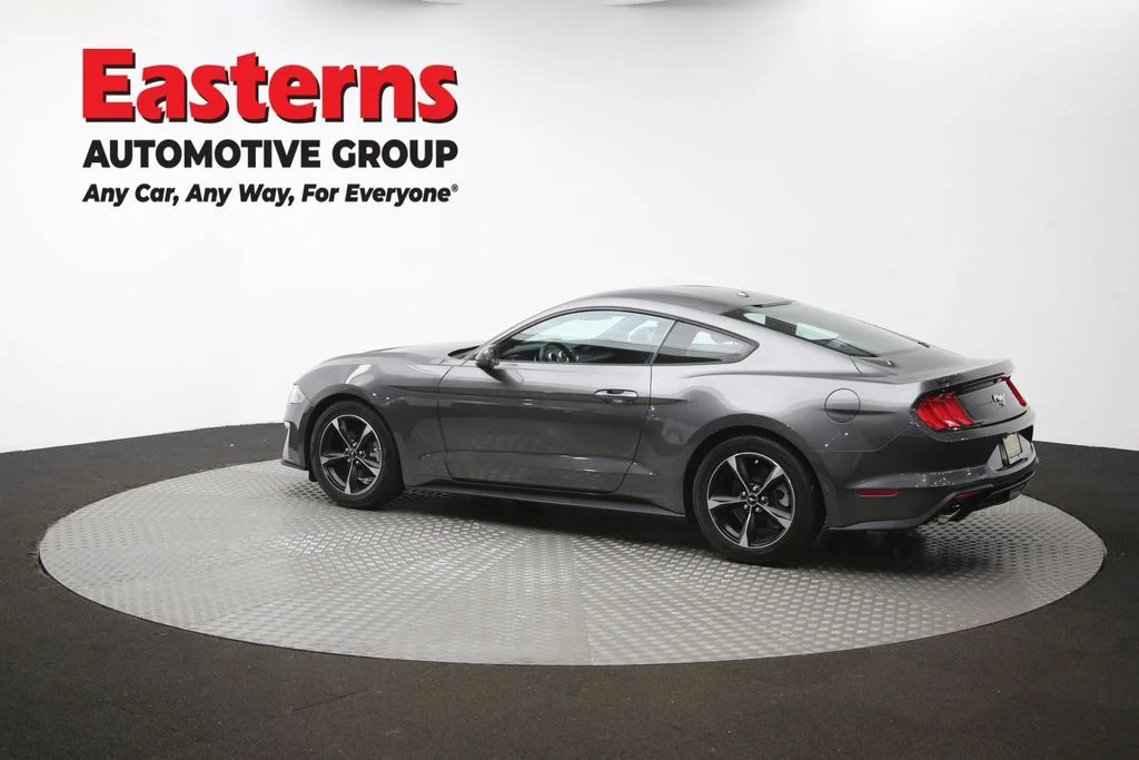 Used 2019 Gray Ford EcoBoost image 59