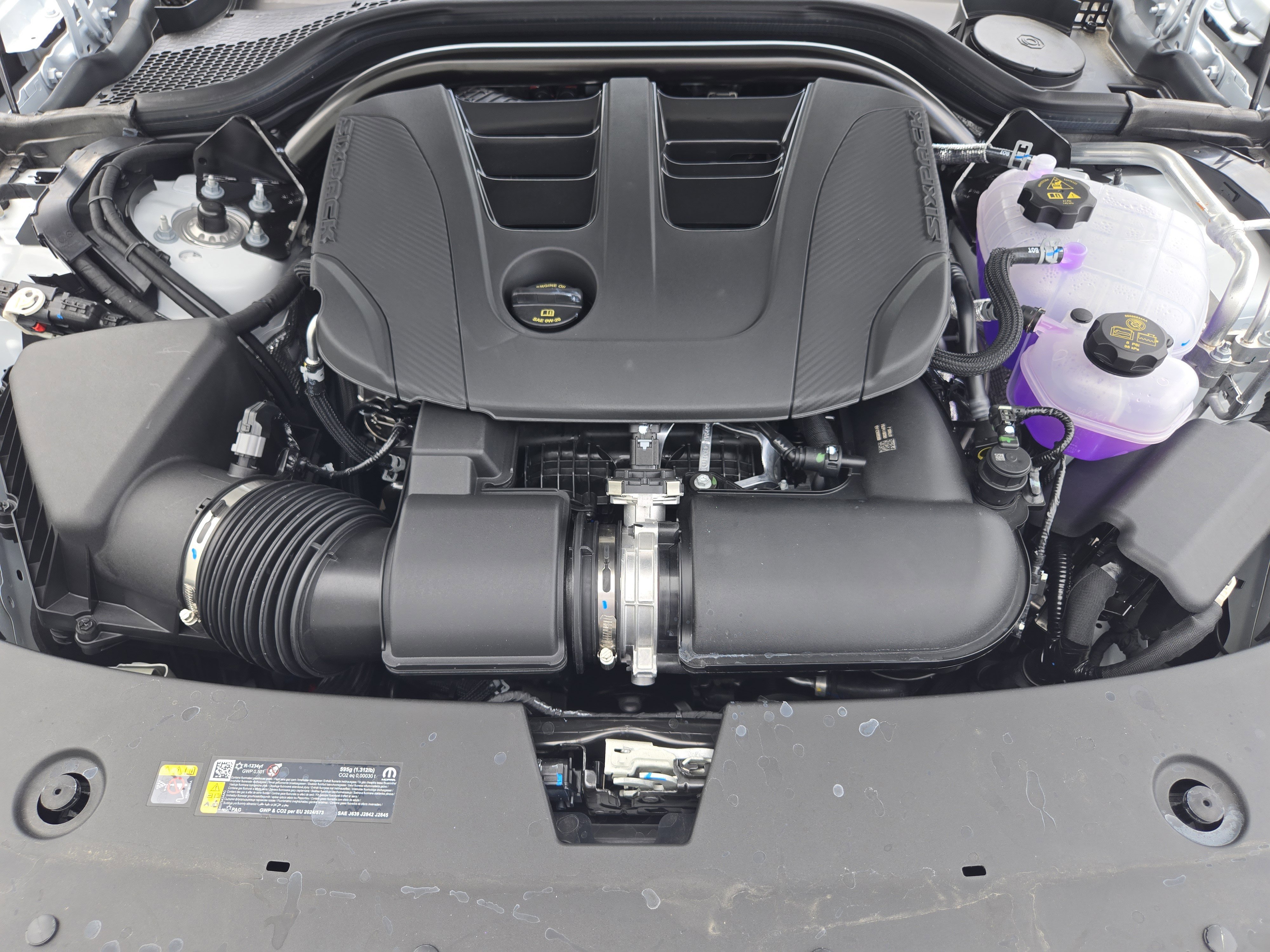 New 2026 White Knuckle Exterior Paint Dodge R/T image 21