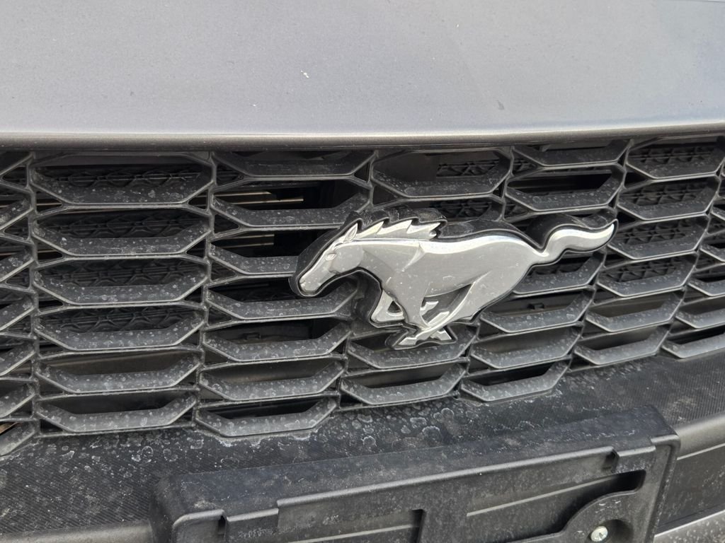 Used 2024 Gray Ford EcoBoost Premium image 9