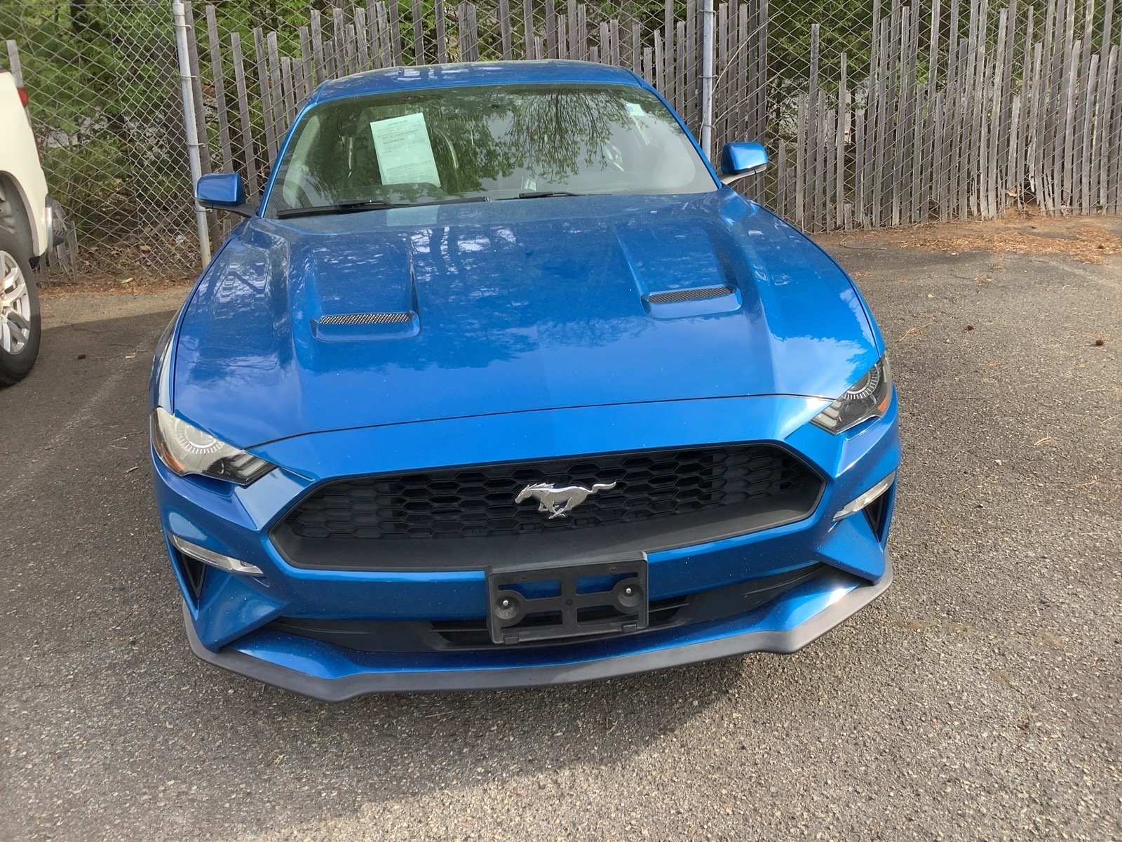 2019 Ford Mustang