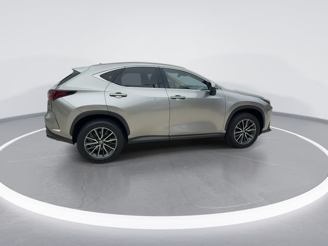 2024 Lexus NX Hybrid 350h - Photo 8