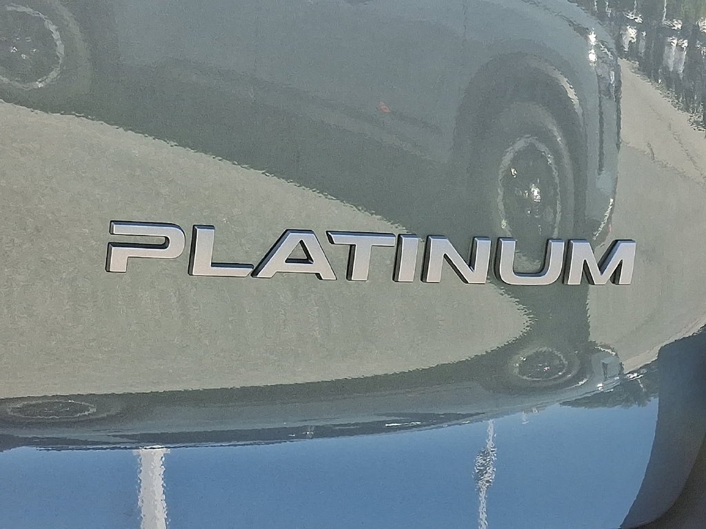 New 2026 Alpine Metallic Nissan Platinum image 20