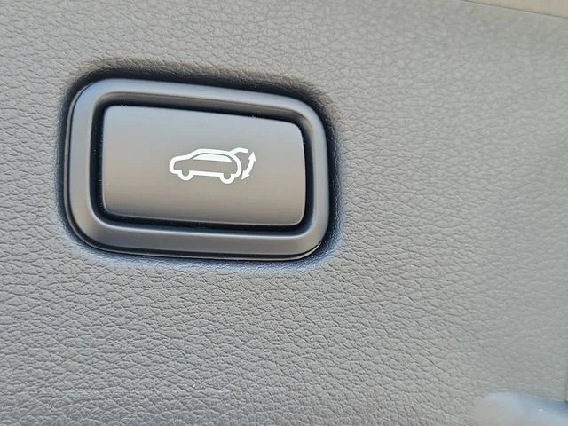 New 2026 Panthera Metal Kia EX image 8