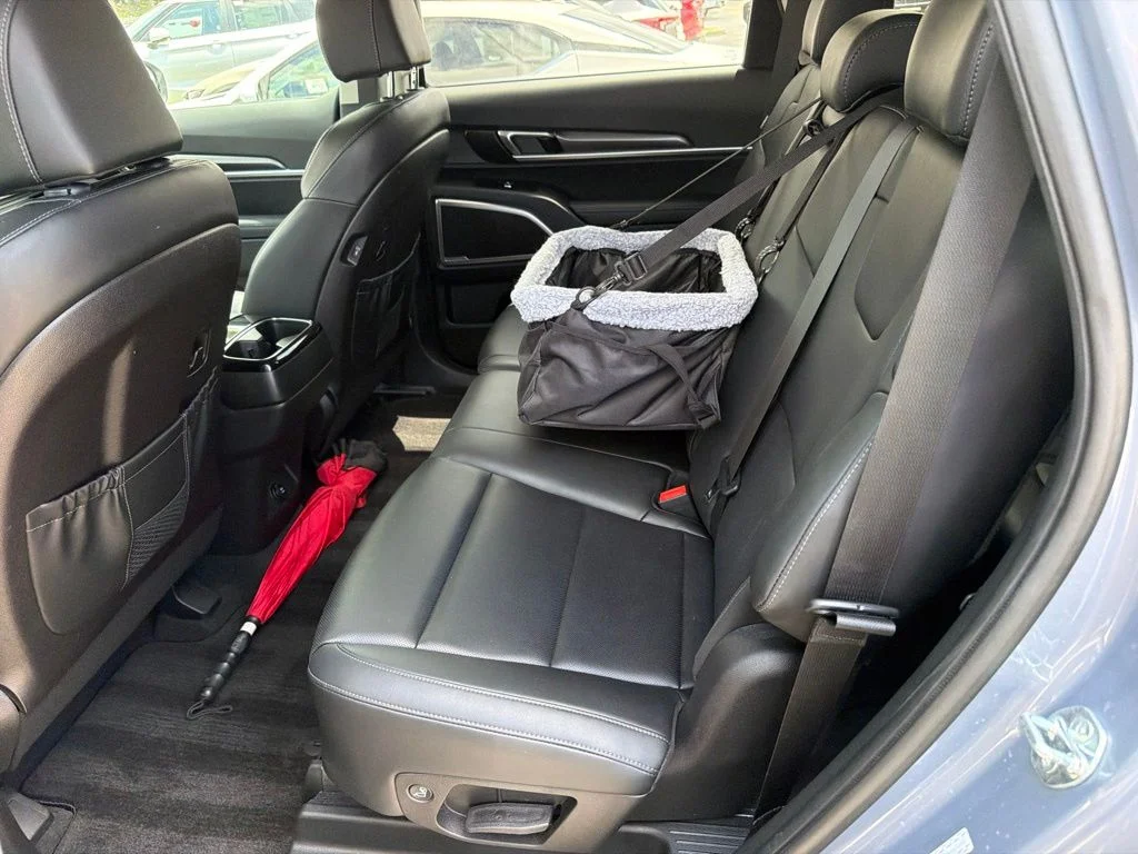 Used 2024 Everlasting Silver Kia LX image 8