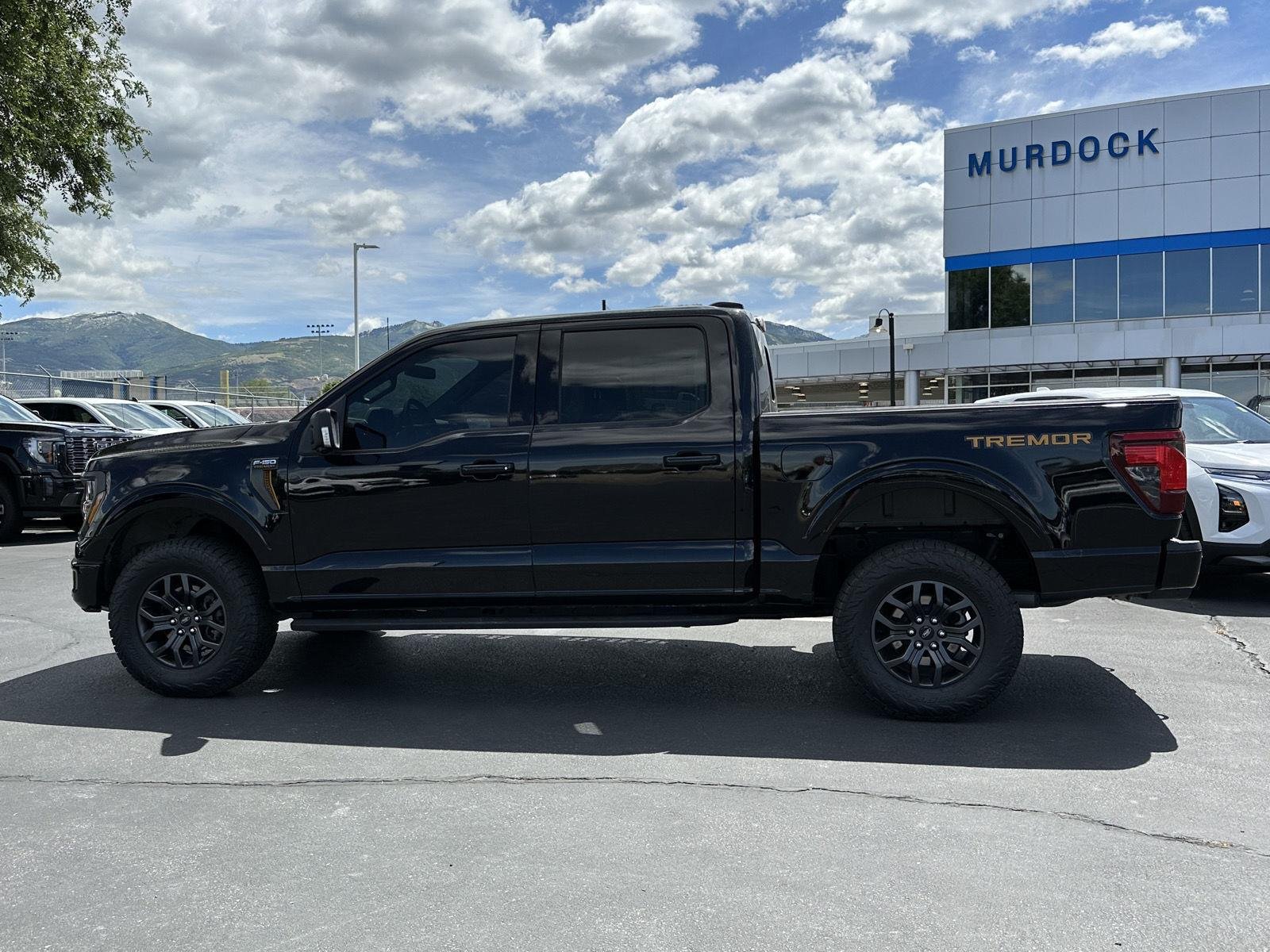 2025 Ford F-150 Tremor - Photo 20