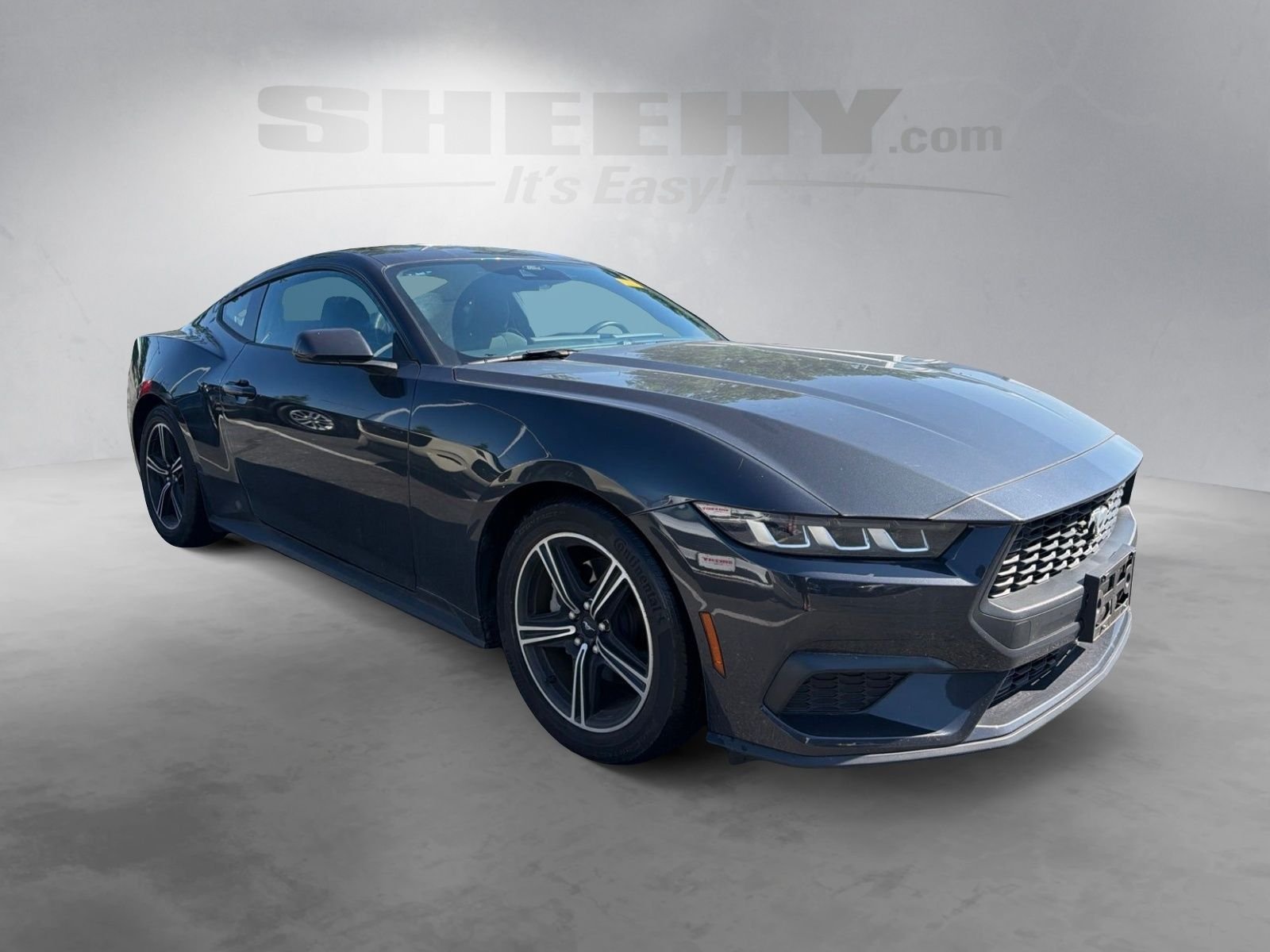 Used 2024 Gray Ford EcoBoost image 2