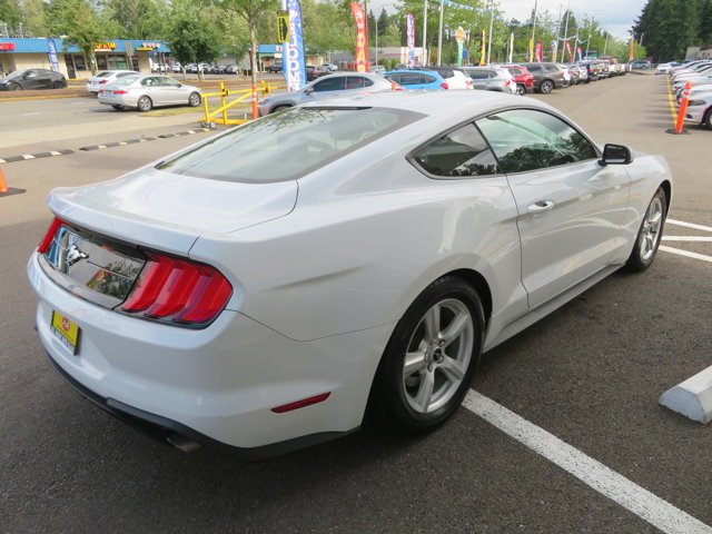 Used 2019 Oxford White Ford EcoBoost image 5