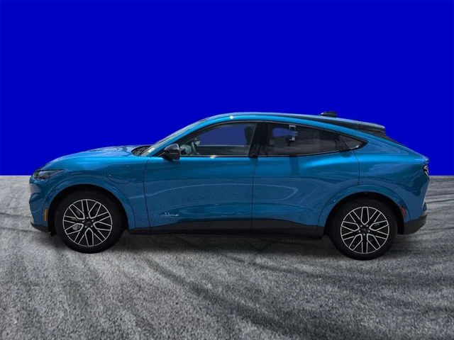 New 2026 Velocity Blue Metallic Ford Premium image 7