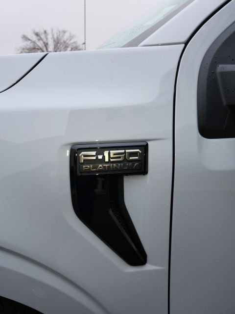 2025 Ford F-150 Platinum - Photo 8