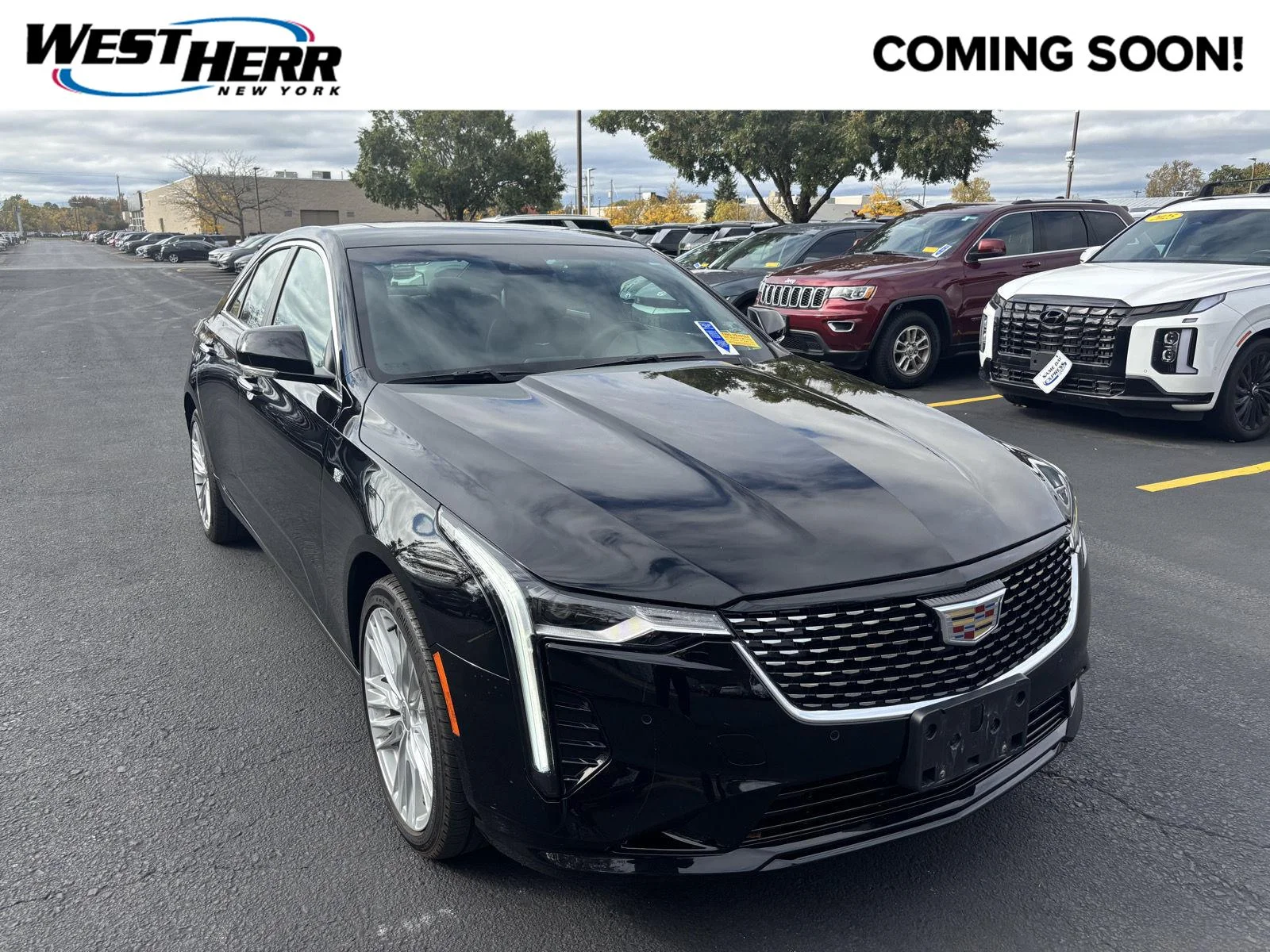 Used 2024 Black Raven Cadillac Premium Luxury image 1