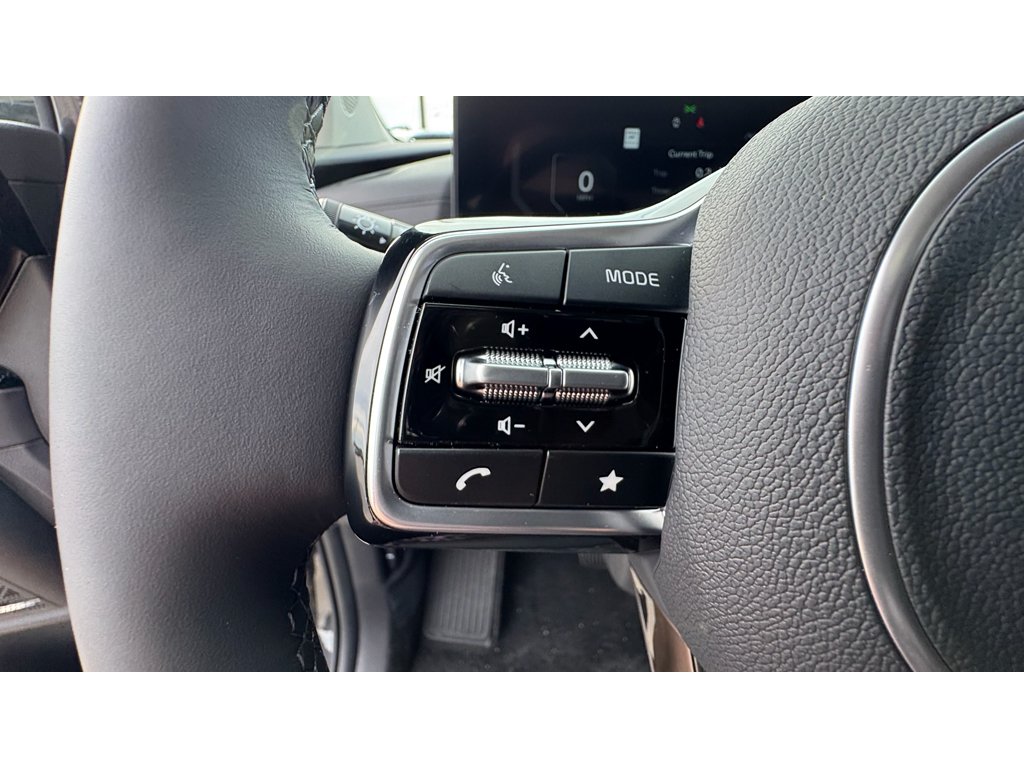 New 2026 Panthera Metal Kia SX Prestige image 10