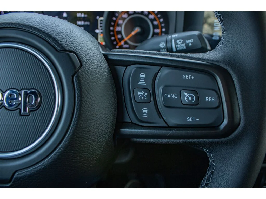 New 2026 REIGN Jeep Rubicon image 21