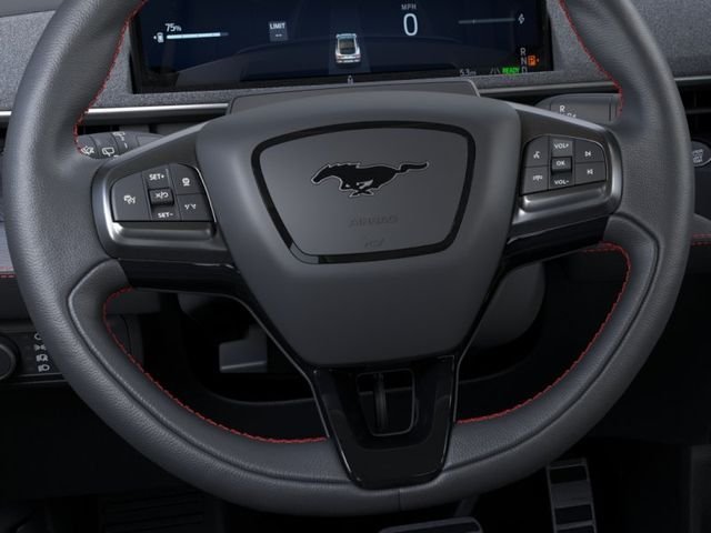 New 2026 Shadow Black Ford Premium image 12