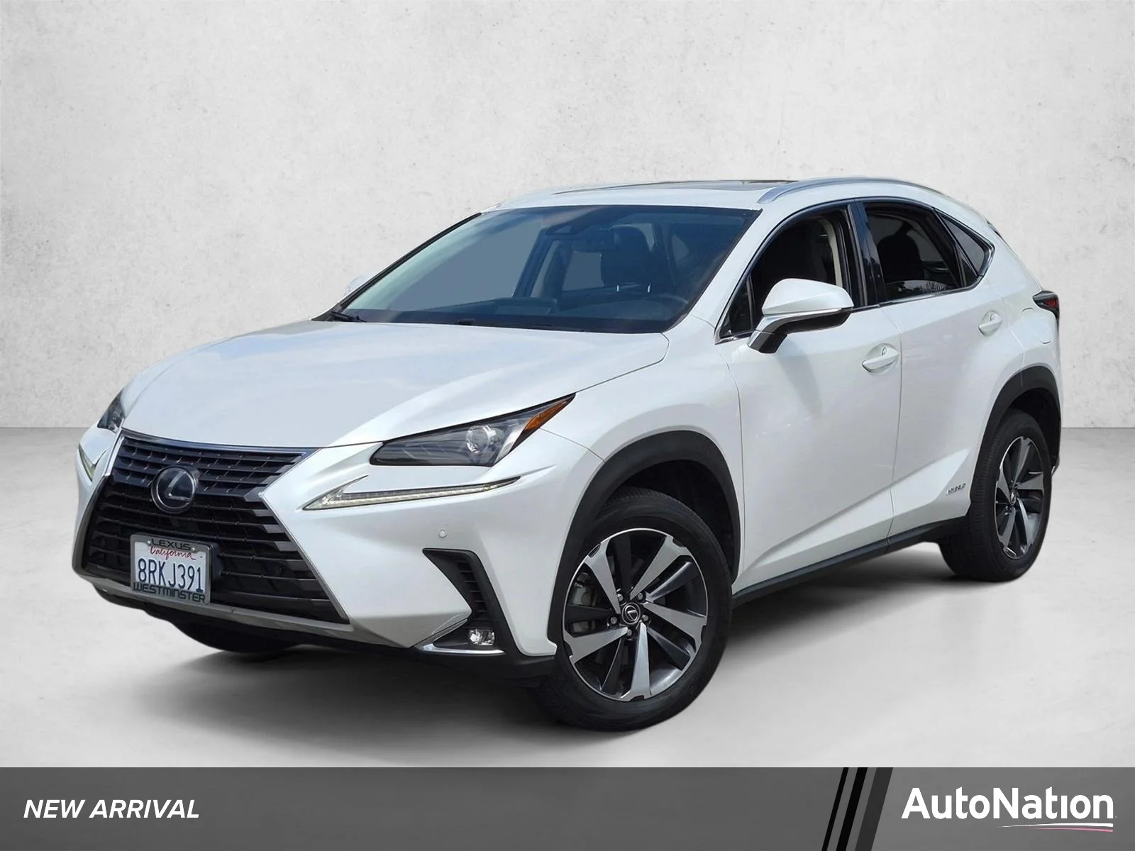 2020 Lexus NX 350h 300h AWD's photo