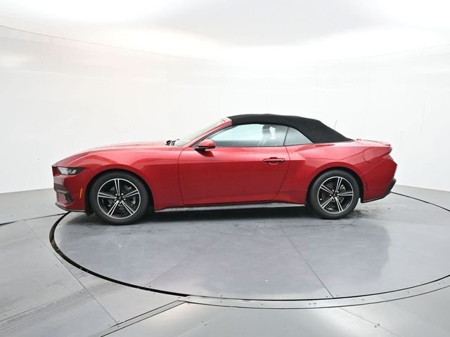 Used 2024 Red Ford EcoBoost Premium image 4