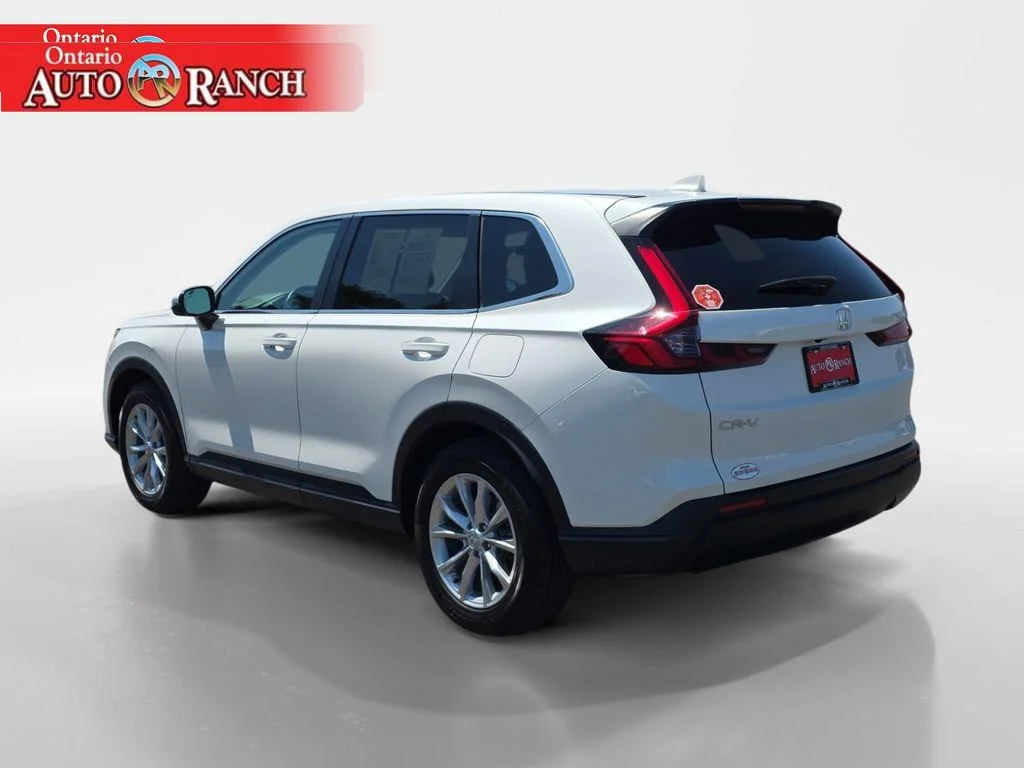 Used 2025 WHITE Honda EX-L image 3