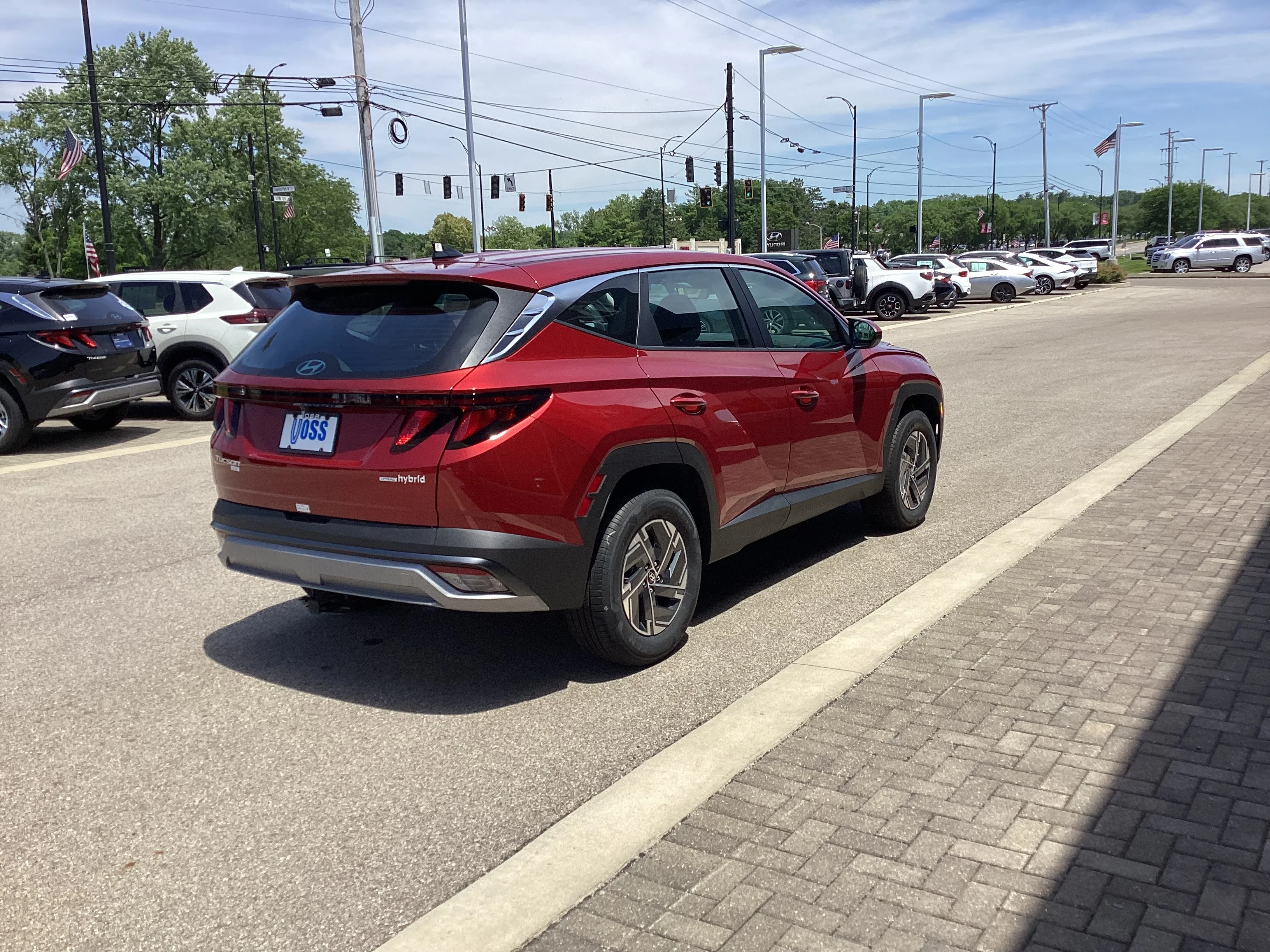 New 2026 Ultimate Red Pearl Hyundai Blue SE image 8