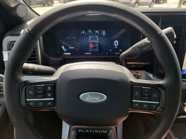 New 2026 Gray Metallic Ford Platinum image 31