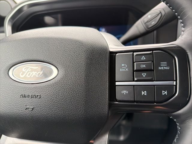 New 2026 Agate Black Metallic Ford F-250® Platinum® image 24