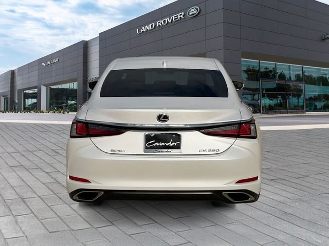 Used 2023 White Lexus 350 image 4