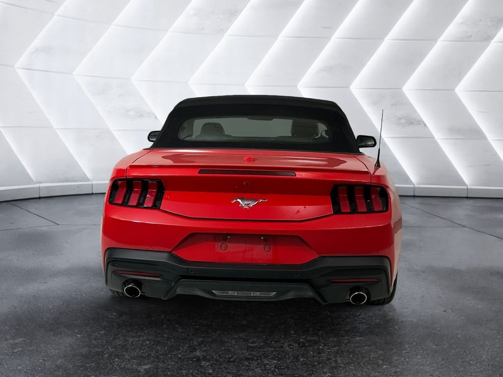 Used 2024 Red Ford EcoBoost Premium image 5