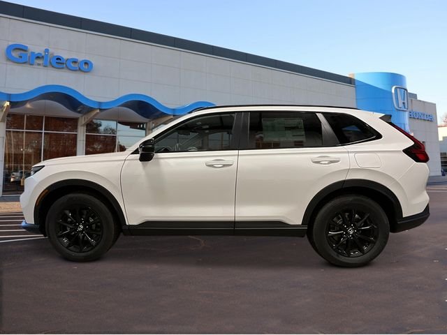New 2026 Platinum White Pearl Honda Sport image 2