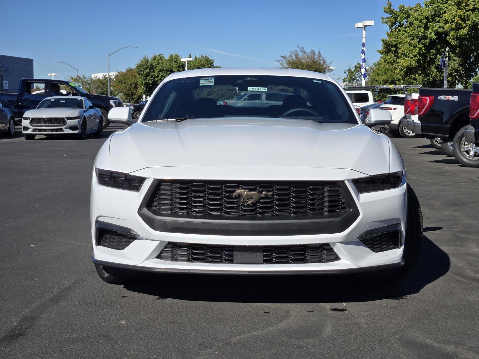 New 2026 Oxford White Ford EcoBoost® Fastback image 2