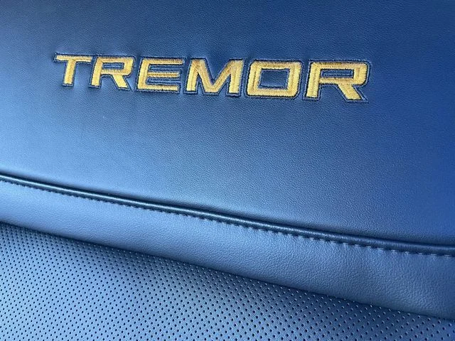 2025 Ford Expedition Tremor - Photo 14