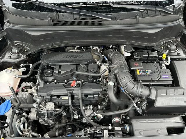 Used 2024 Black Kia X-Line image 19