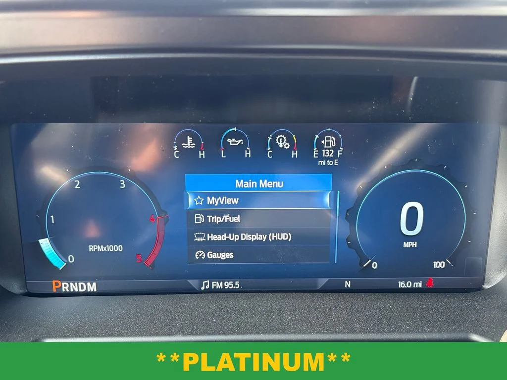 New 2026 Black Ford Platinum image 20