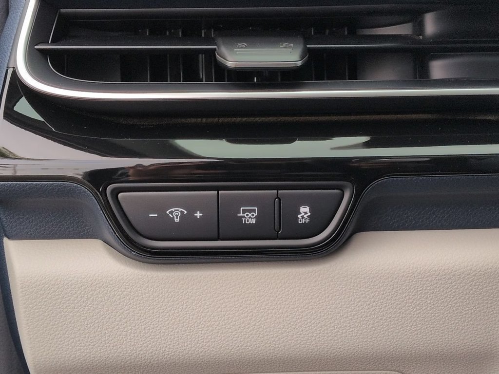 New 2026 Panthera Metal Kia SX Prestige image 18