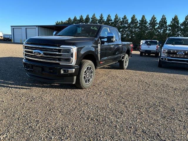 New 2026 Agate Black Metallic Ford Platinum image 43