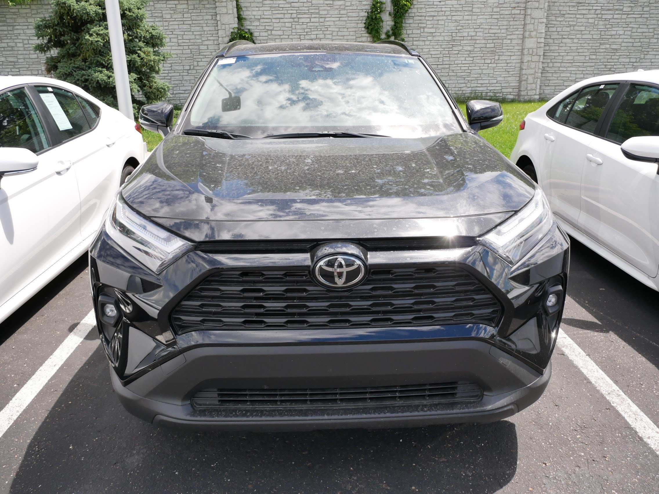Certified 2025 Toyota RAV4 XLE Premium with VIN JTMB6RFV5SJ092511 for sale in Brooklyn Center, Minnesota