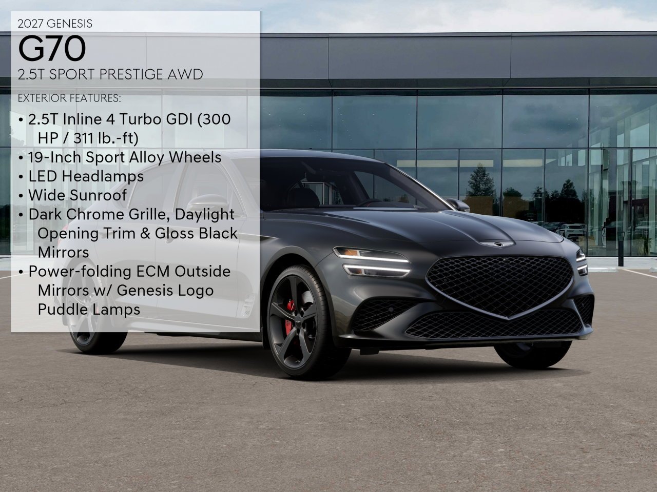 New 2027 Vik Black Genesis Standard image 3