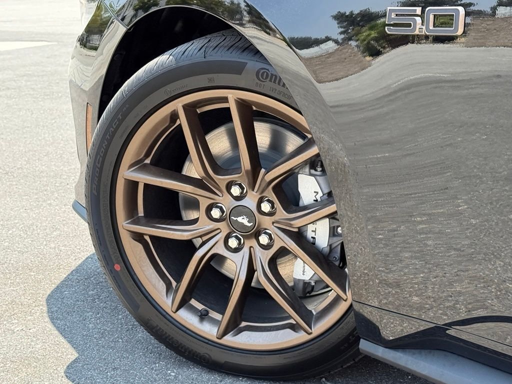 New 2026 Shadow Black Ford GT Premium Fastback image 16
