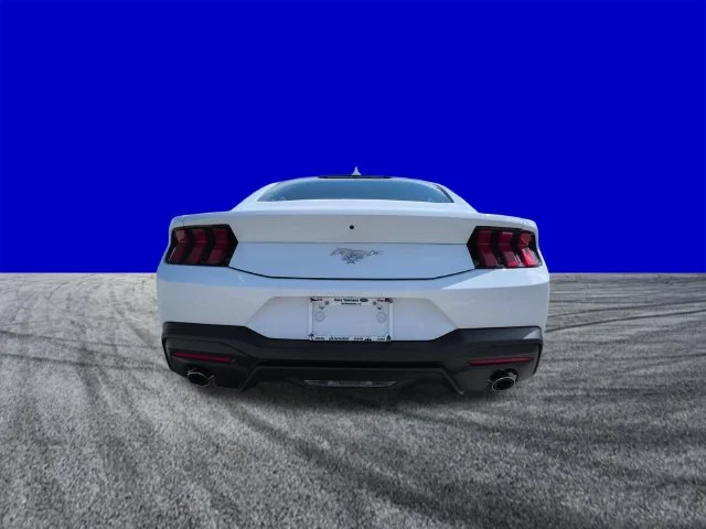 New 2026 Oxford White Ford EcoBoost® Fastback image 5