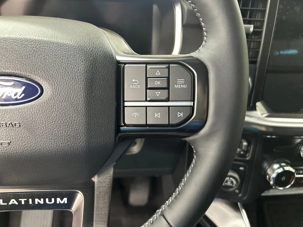New 2026 White Ford Platinum image 21