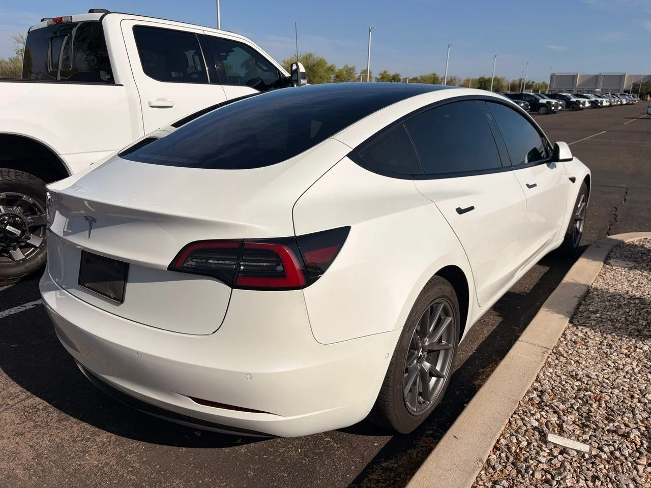 Used 2021 Pearl White Multi-Coat Tesla Standard Range Plus image 4