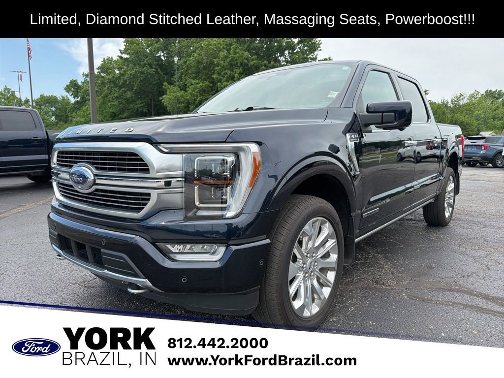 Used 2023 Blue Ford Limited image 1