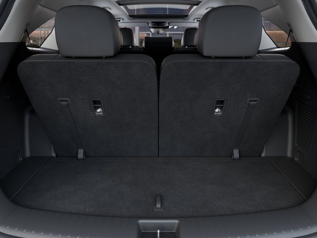 New 2026 Panthera Metal Kia S image 19