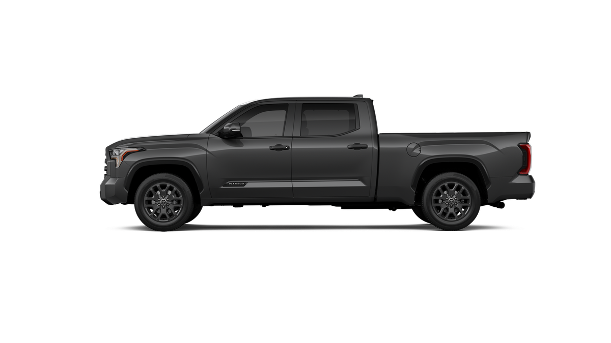 New 2026 Magnetic Gray Metallic Toyota Platinum image 26