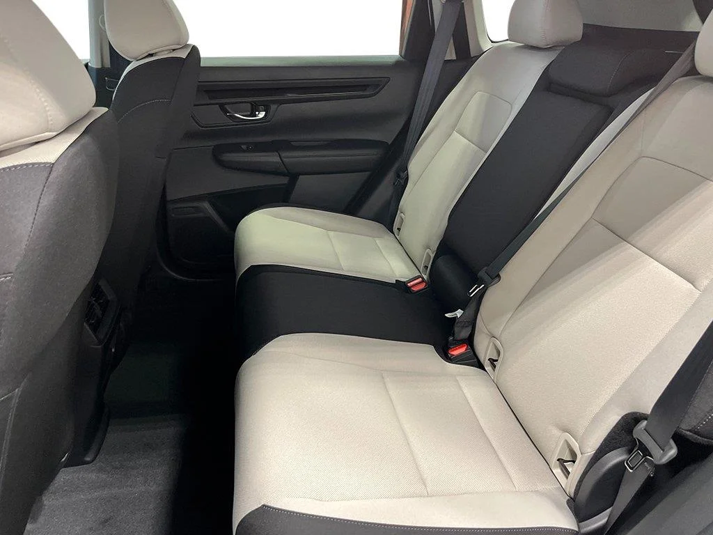 New 2026 Platinum White Pearl Honda LX image 19