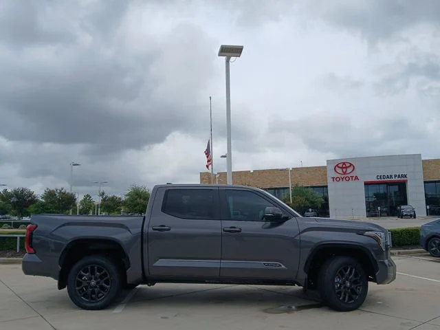 New 2026 Magnetic Gray Metallic Toyota Platinum image 4