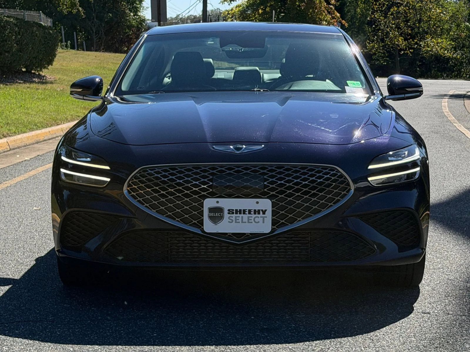 Used 2023 Blue Genesis 2.0T image 2